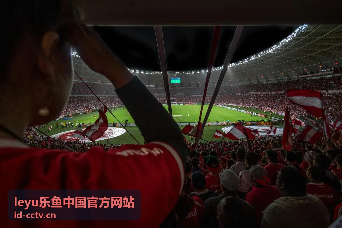 乐鱼平台新手入门指南封面图